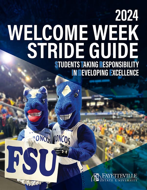 STRIDE  Guide, click to download