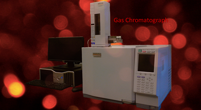 Gas Chromatograph