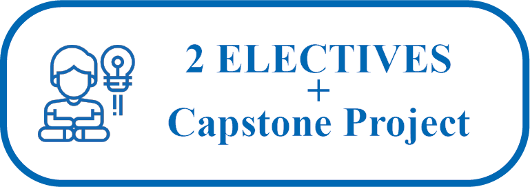 Elective Capstone