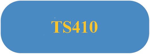 TS410 button