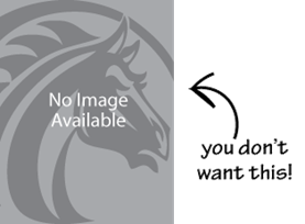 No Image Available