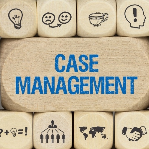 Blue words on wooden blocks reading: Case Management.