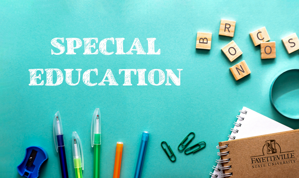 A stylized logo for a new Special Education program.