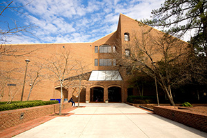 Chestnut Library Photo