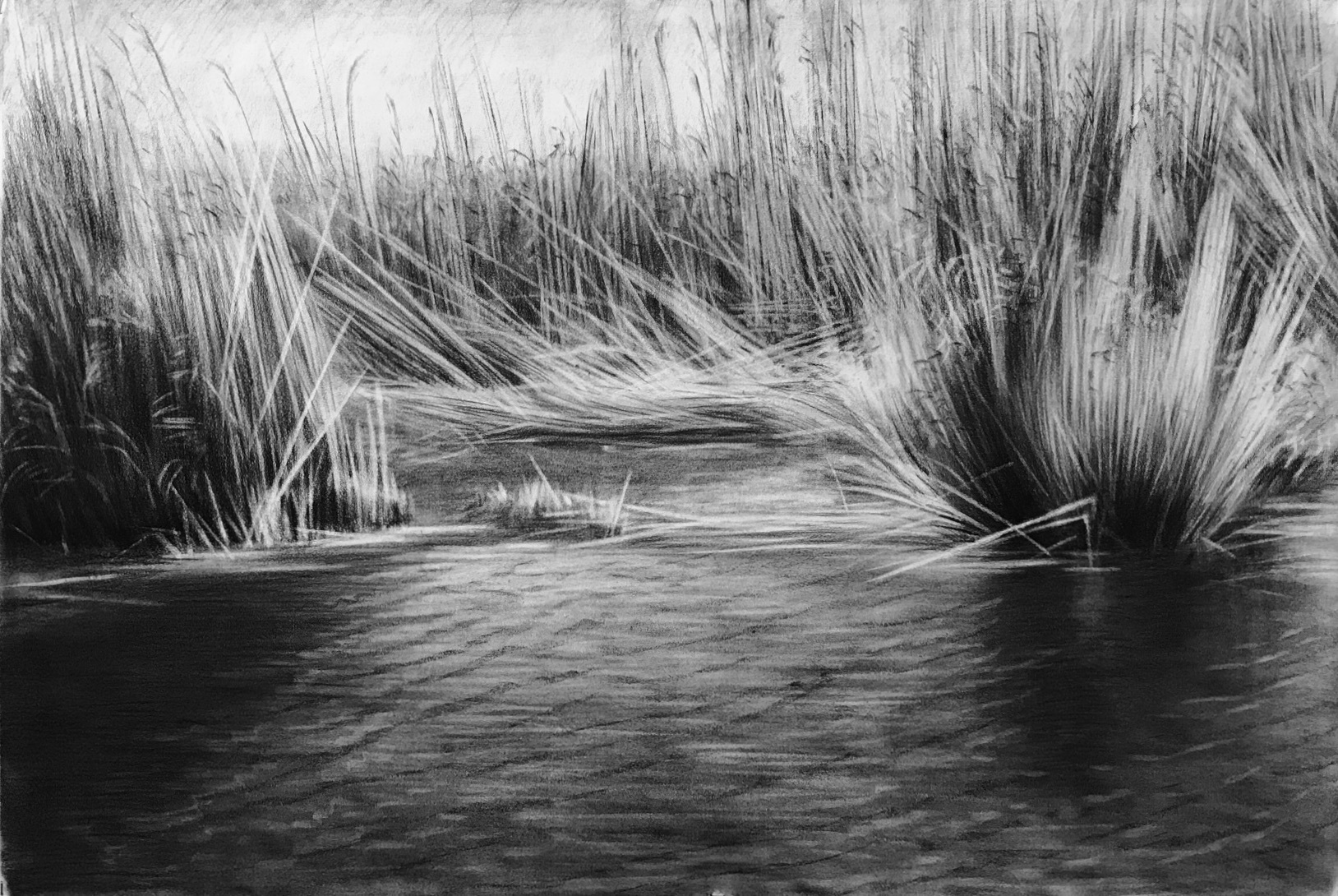 Ken Mazzu, A Cove In the Marsh #2, 2023, Charcoal on paper